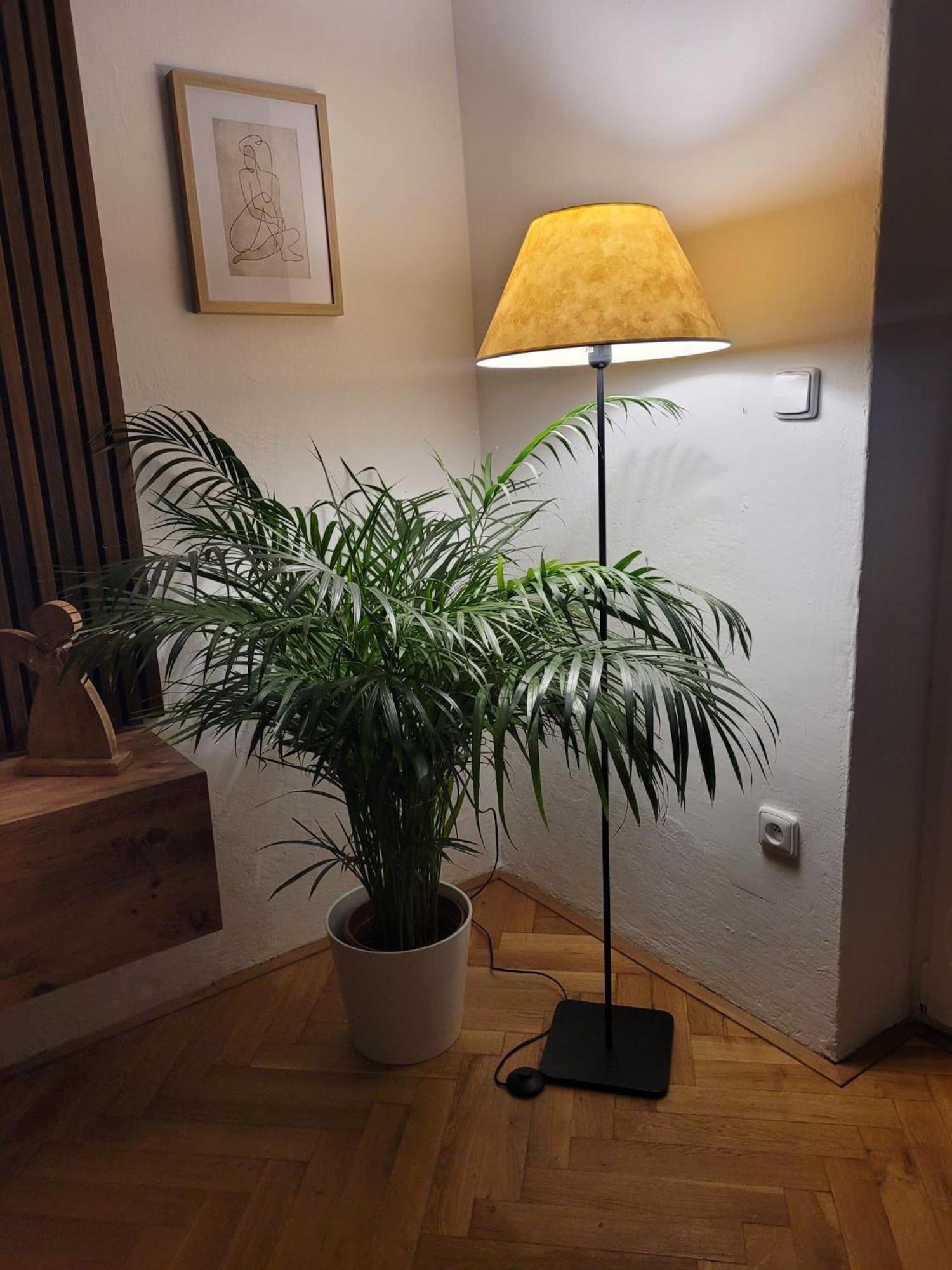 Novy Apartman Eva Jičín Zewnętrze zdjęcie